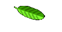 mount